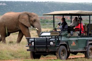 Tourism in Africa