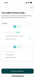 KYC verification approval showing checkmarks for submitted documents on Hizo.