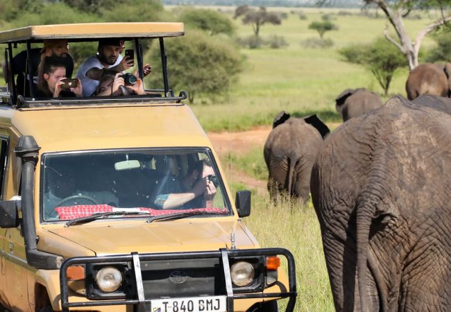 African tourist