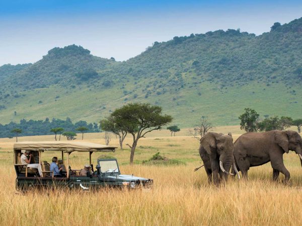 seeing-elephants-on-a-game-drive-in-the-masai-mara